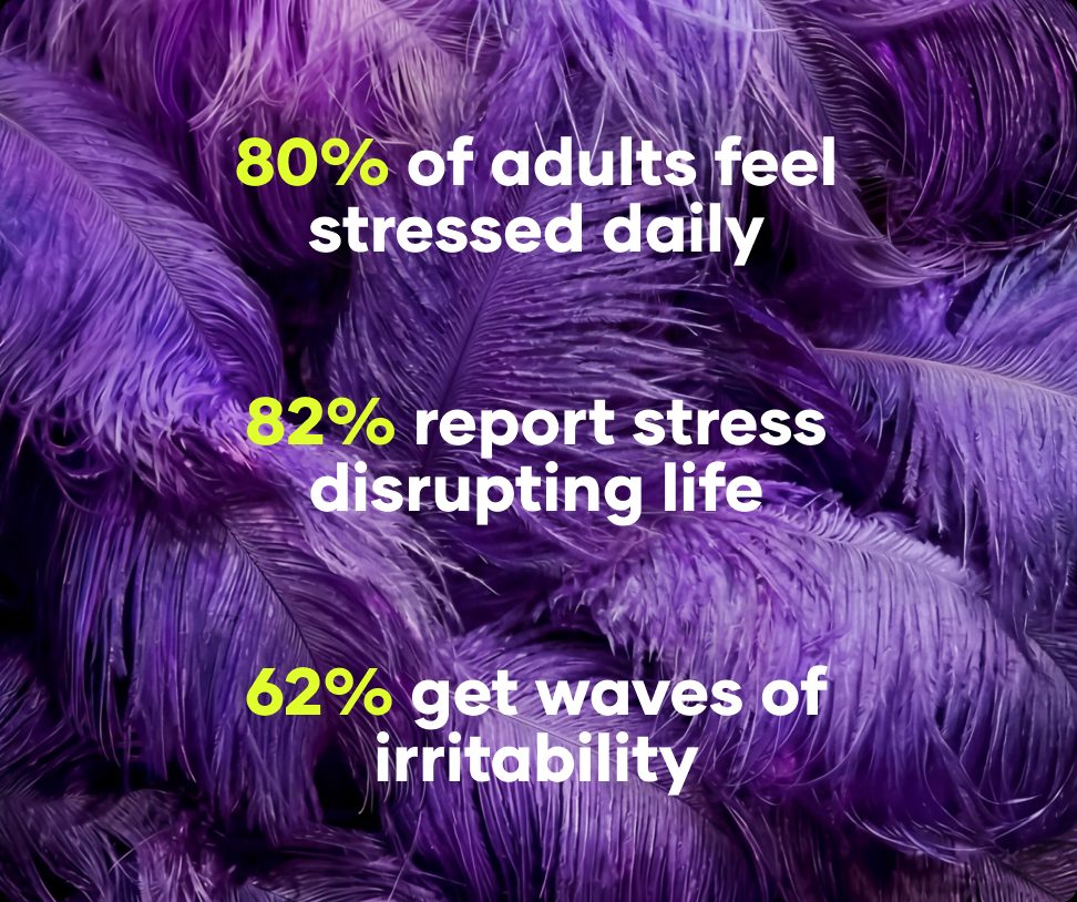 Daily stress and irritability statistics over purple feathers from Flewd